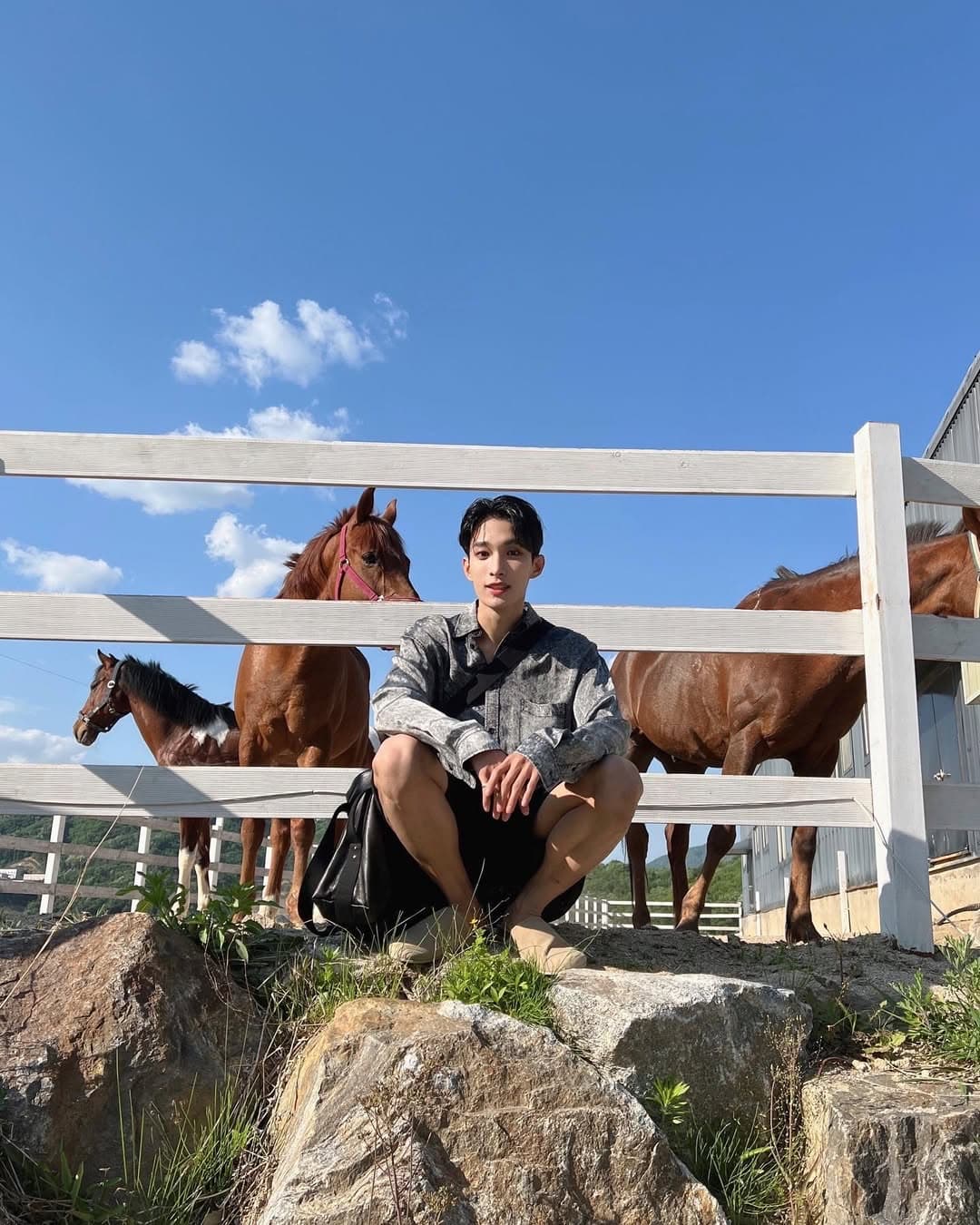 요즘말야🐴

-220604