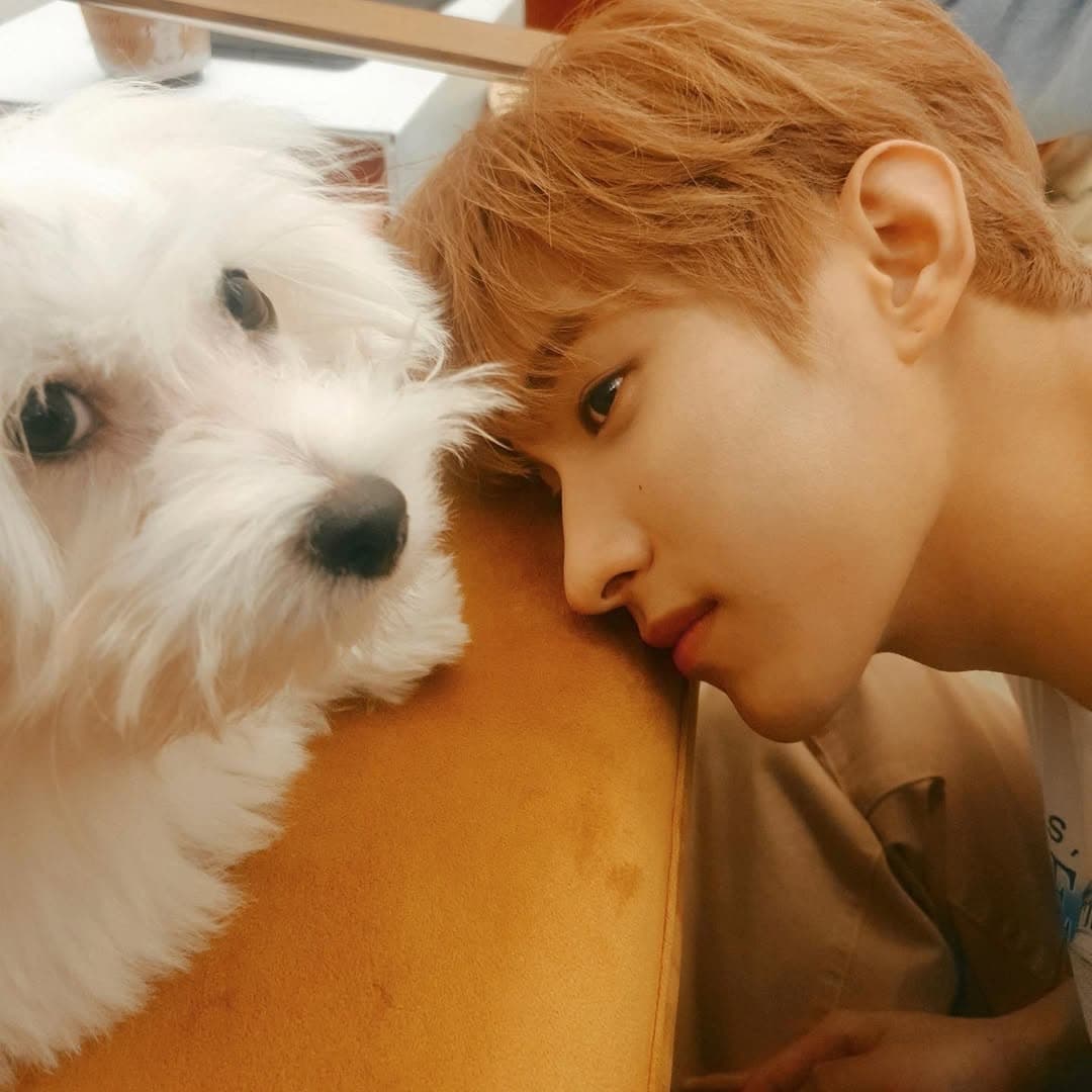 사랑스러운 봄이🐶

#210713