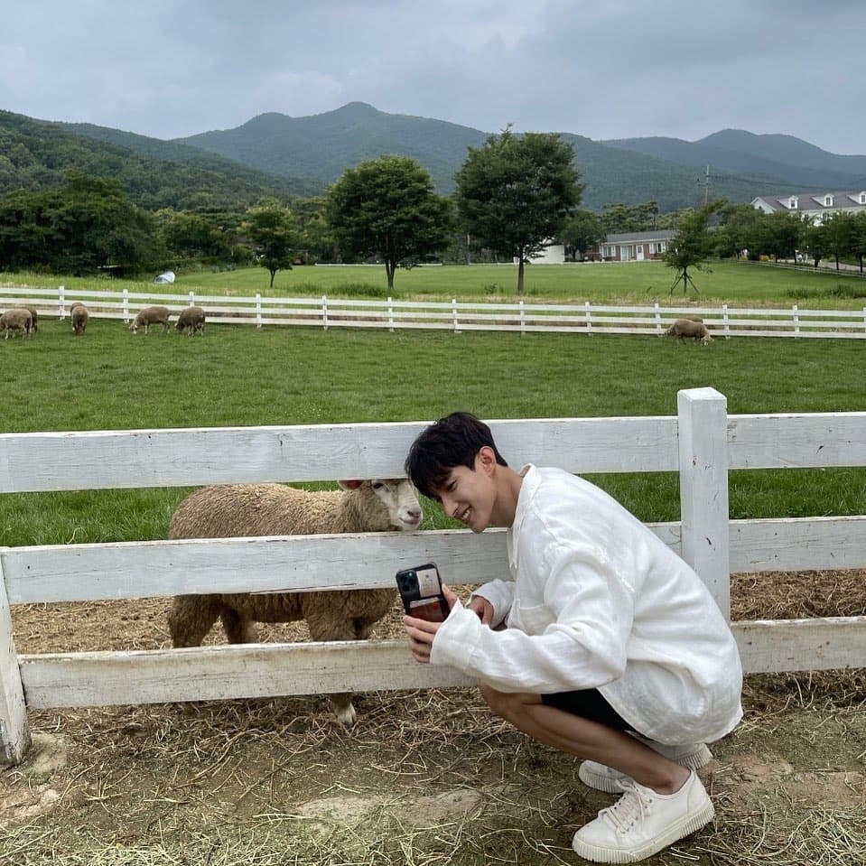 좋은 하루 보내세양🐑

#210927