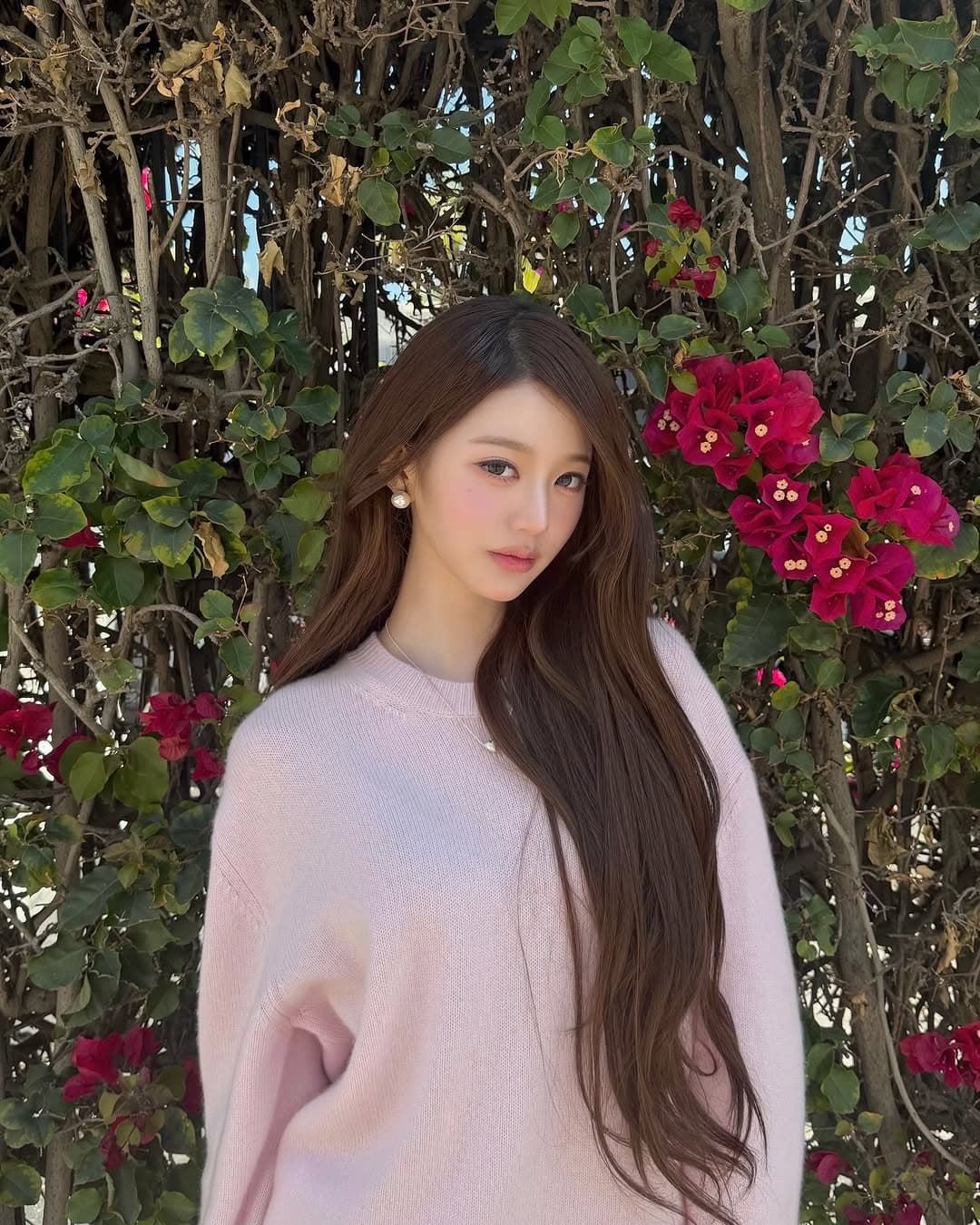 @opacarophile 的貼文