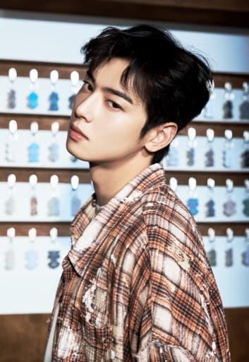 Cha Eun Woo