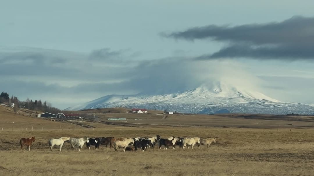 @haneko 的貼文